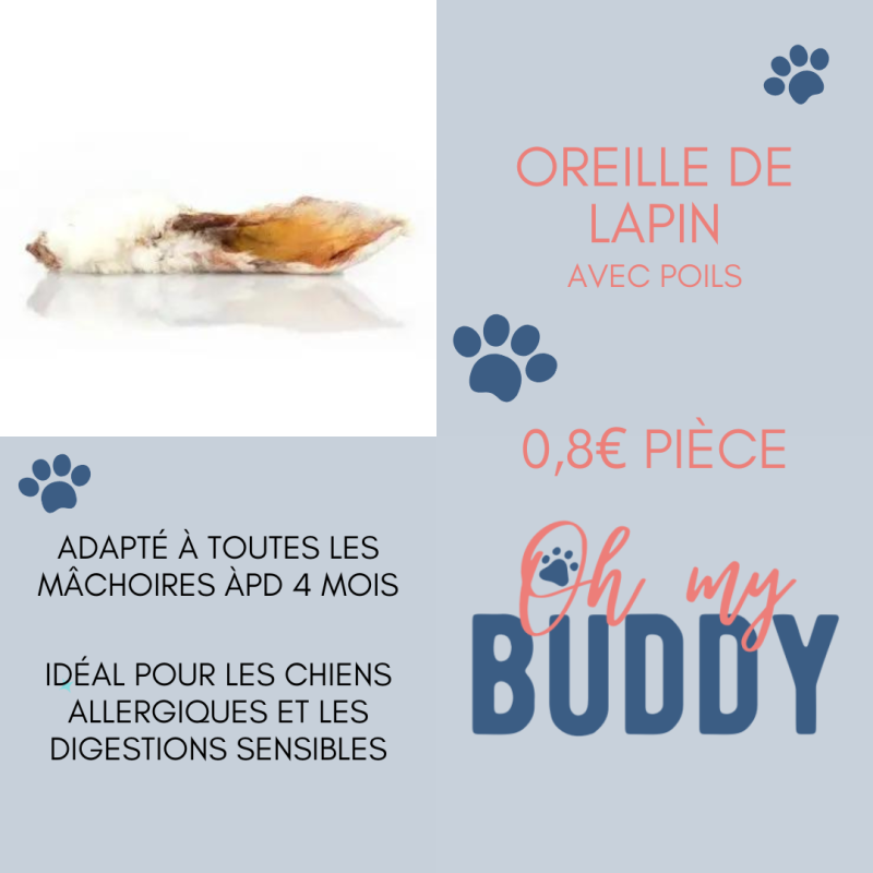 Oreille de lapin avec poils