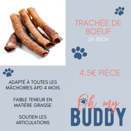 Trachée de bœuf 20-30cm