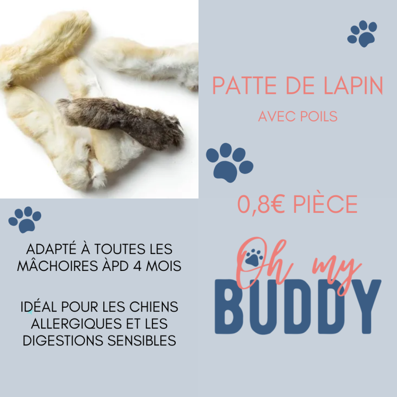 Patte de lapin