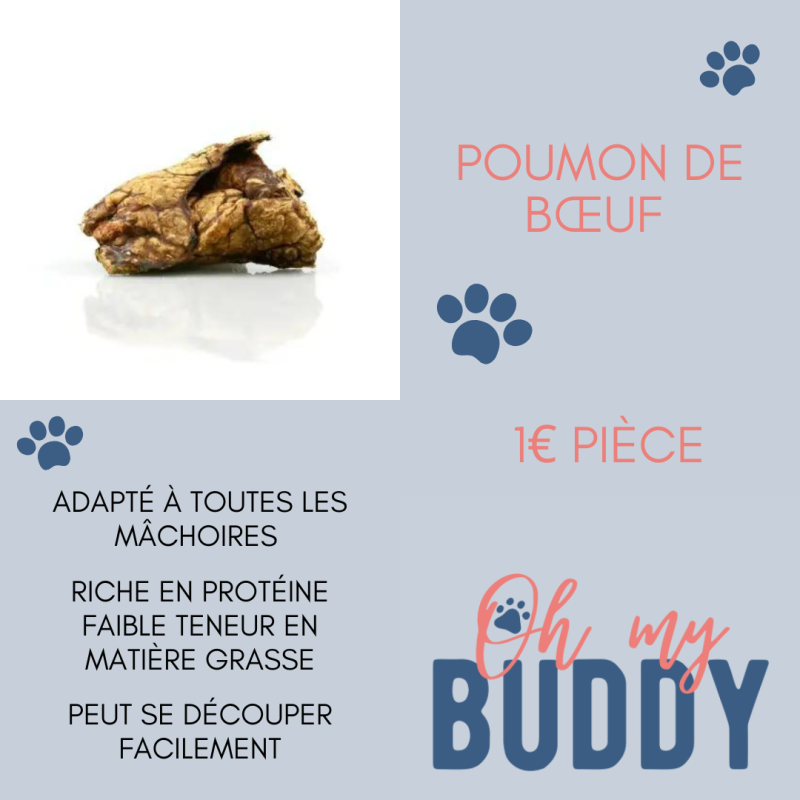 Poumon de bœuf