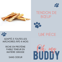 Tendon de bœuf